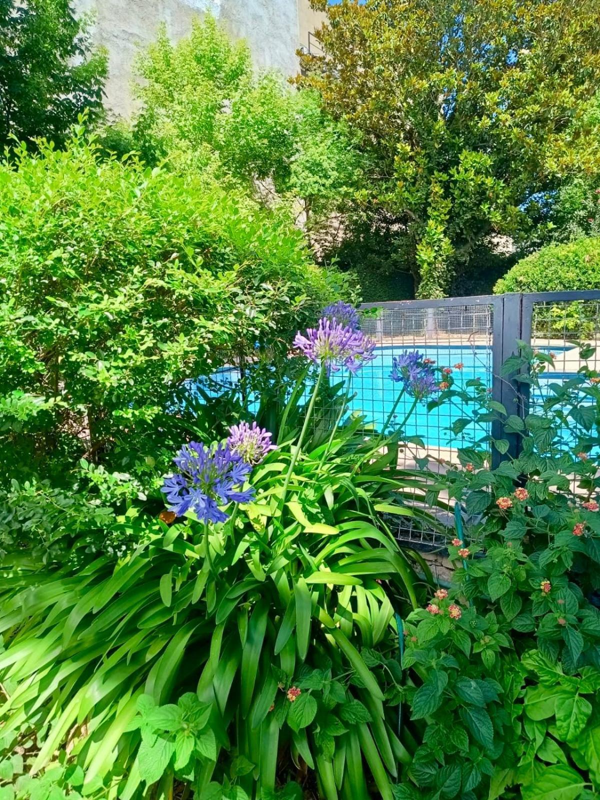 Casa Con Pileta Y Jardin A Tres Cuadras Del Holiday home Villa Carlos Paz